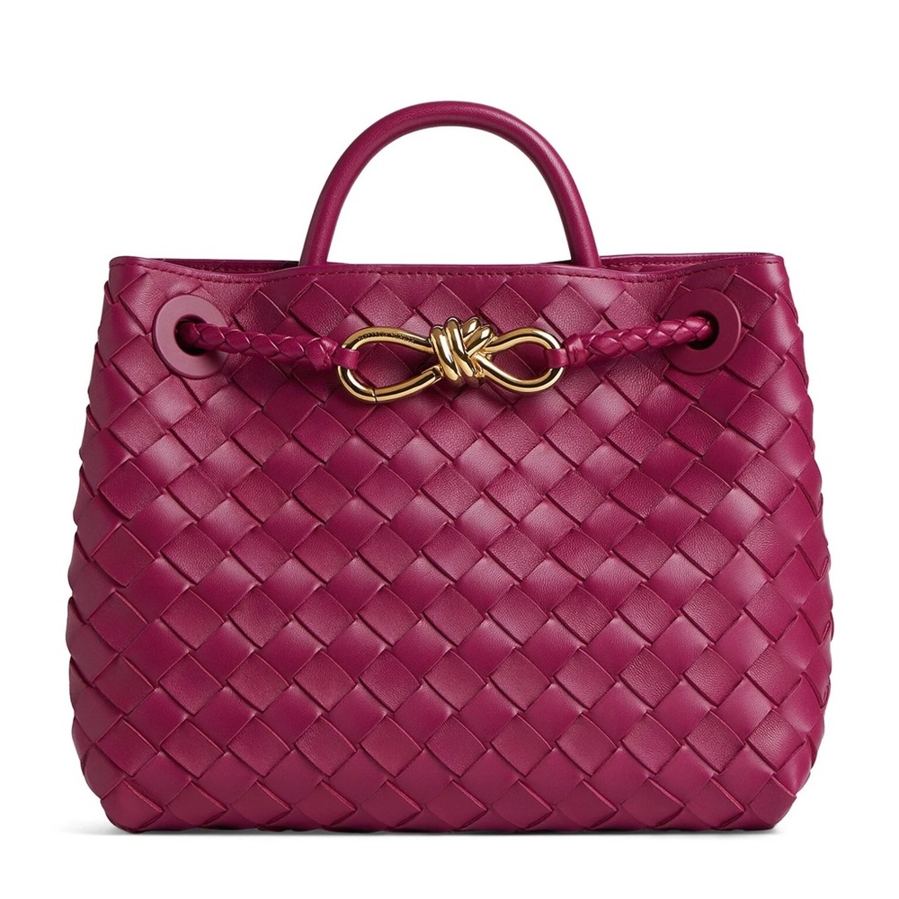 New Bottega Veneta Andiamo Small Leather Tote